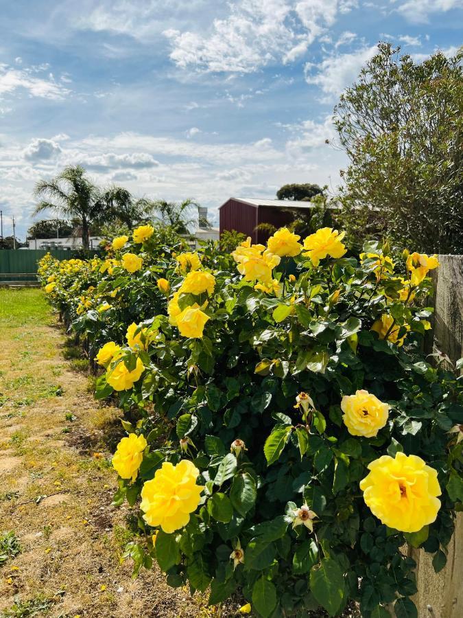 Barossa Gateway Motel Nuriootpa Bagian luar foto