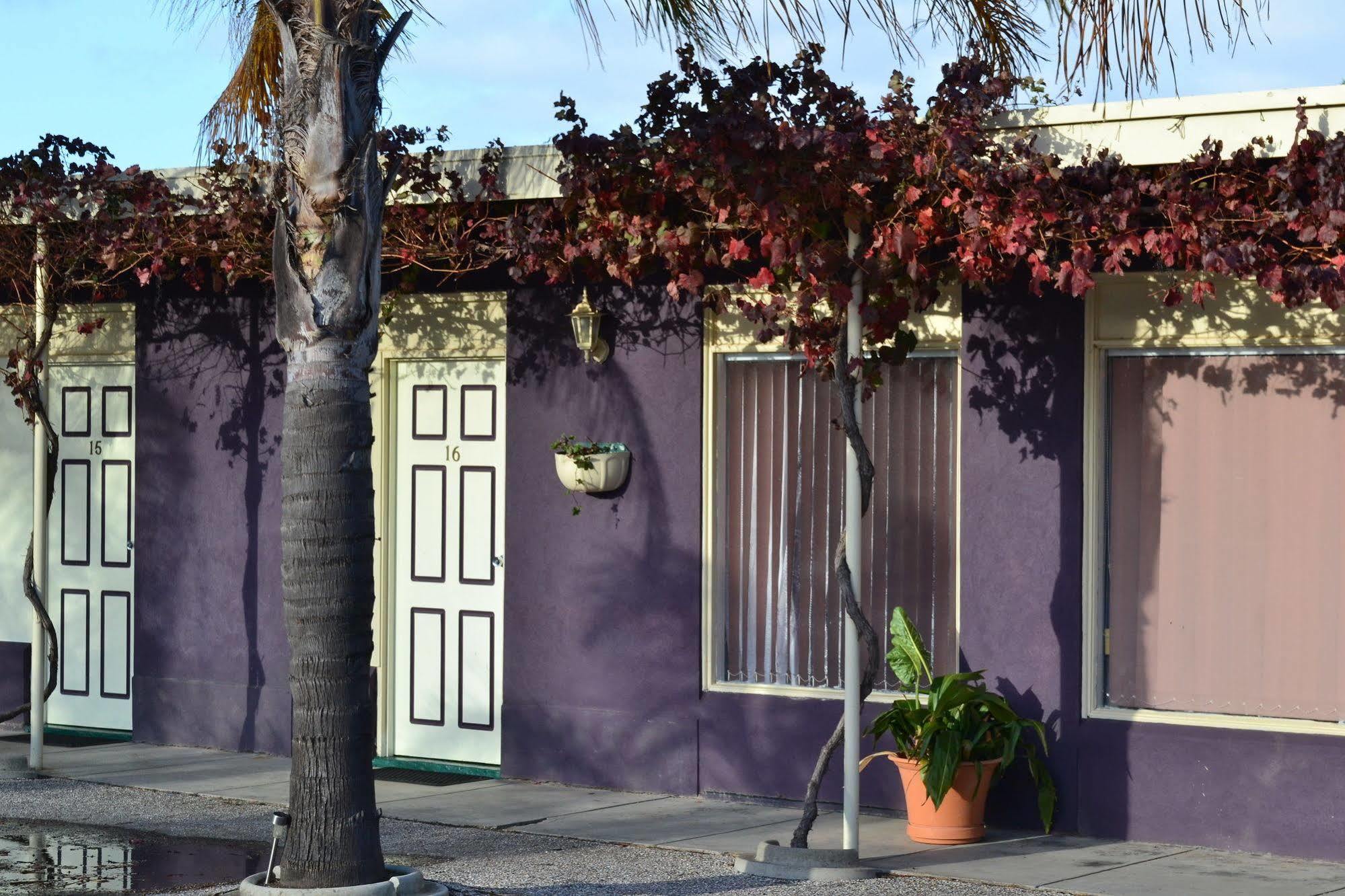 Barossa Gateway Motel Nuriootpa Bagian luar foto